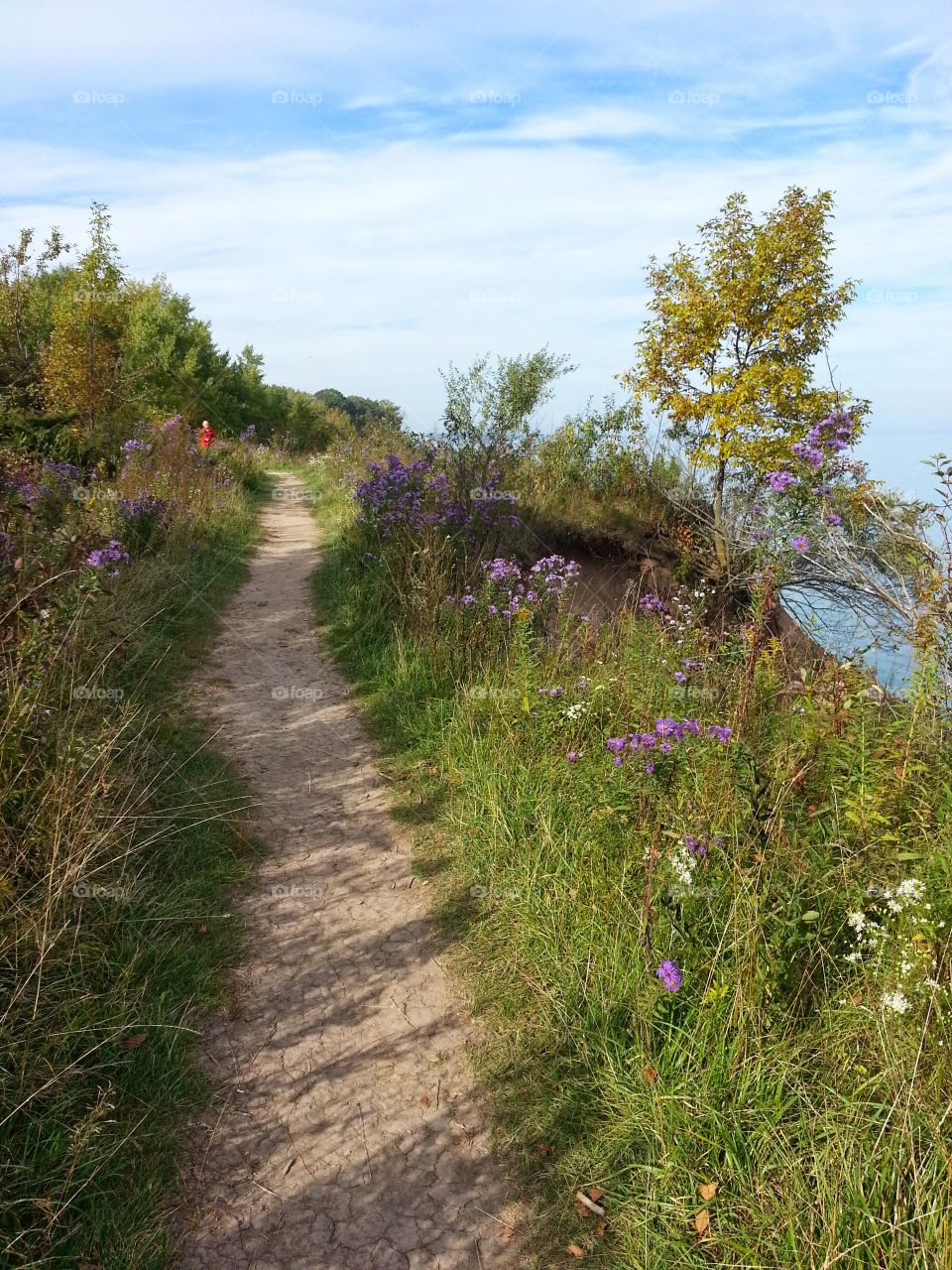 summer path. port washington wi