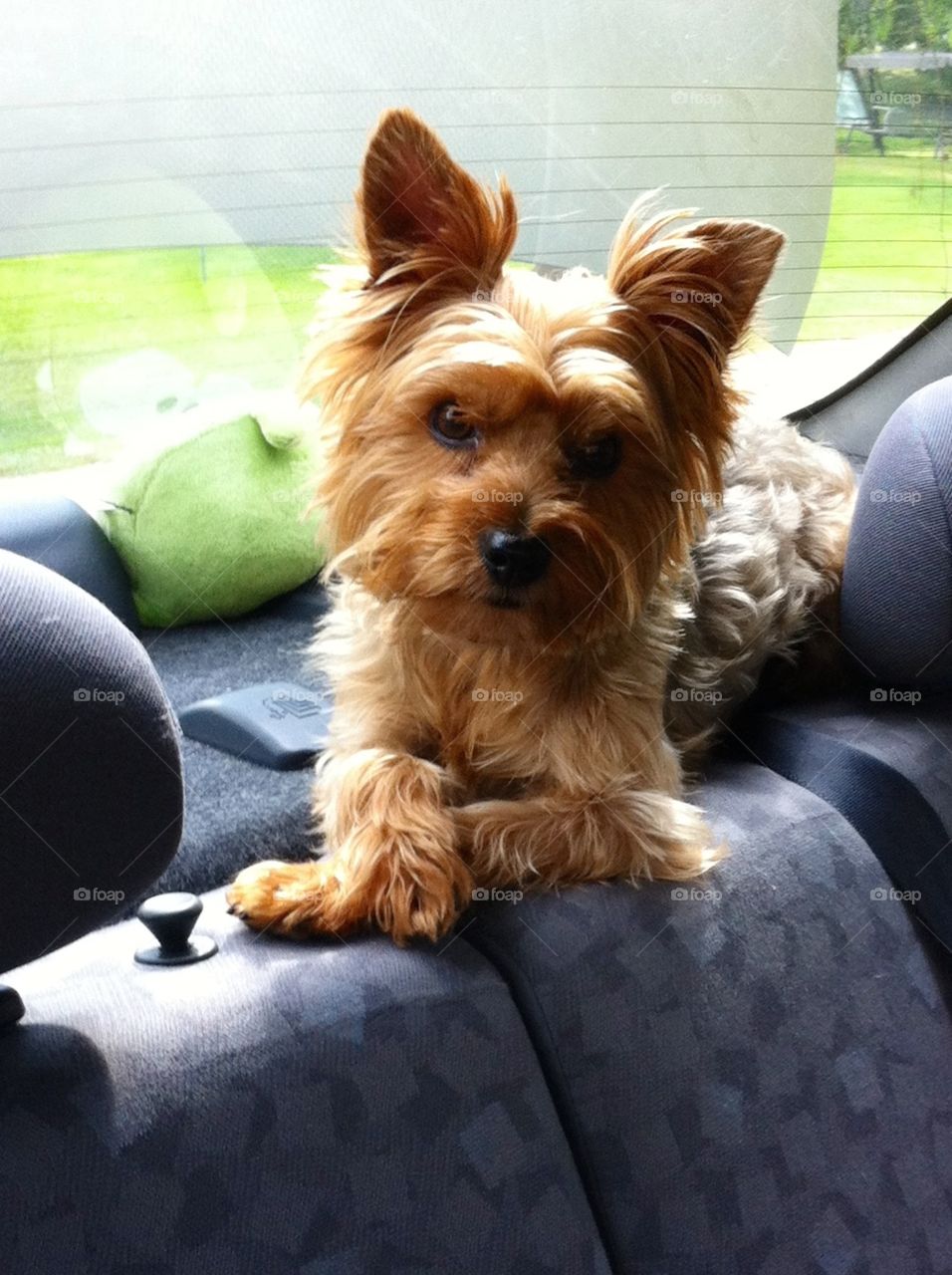 Waiting for Car Ride
