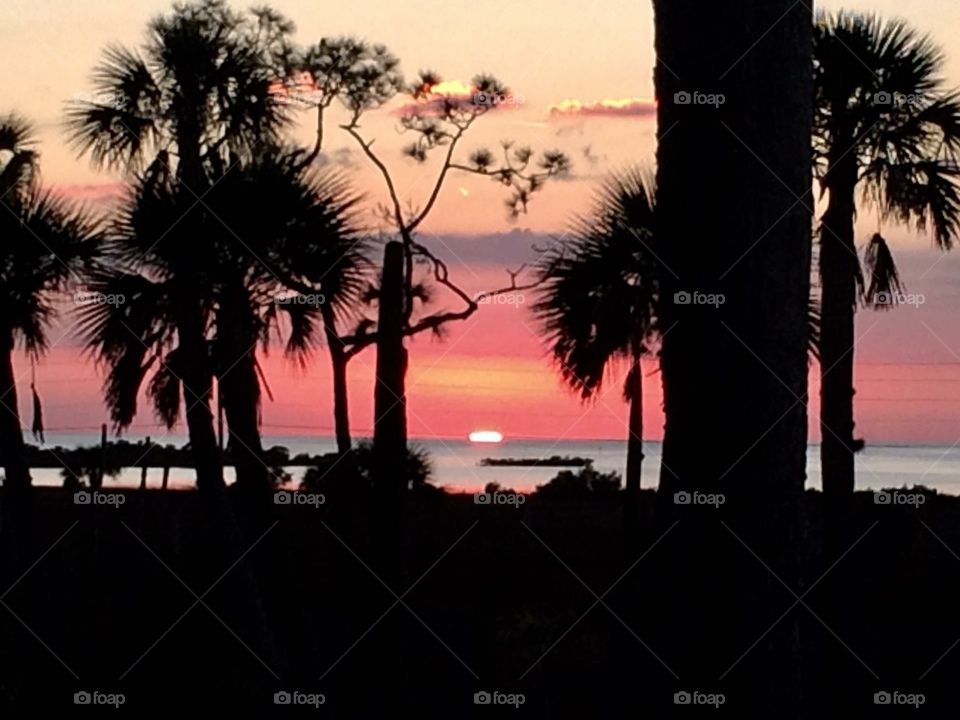 Sunset with palm trees!