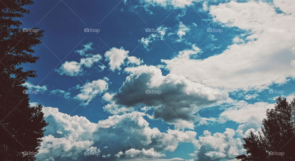 blue chill sky . enlightenment of the day