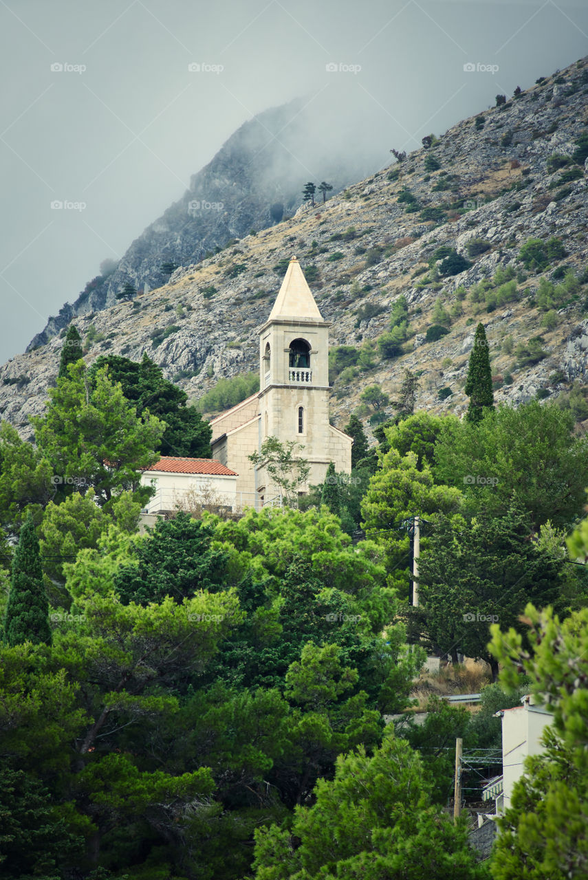 Church surrounded with trees