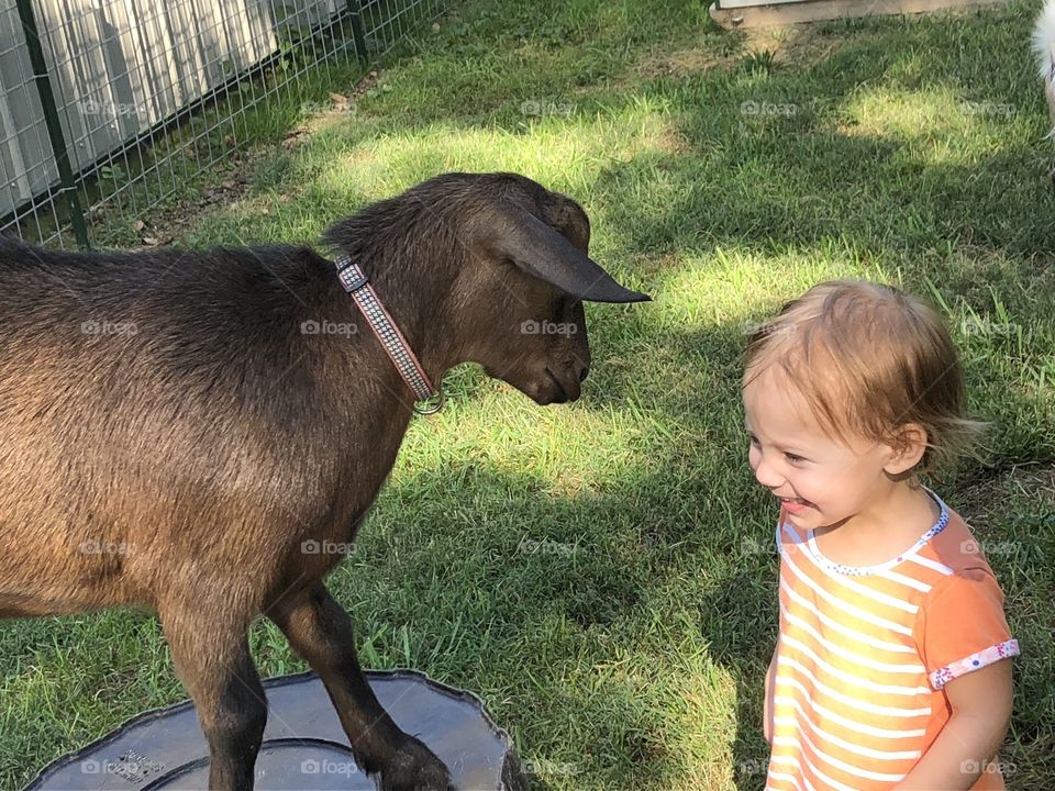 Young girl with Silly goat