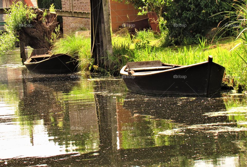 Marais de Saint Omer