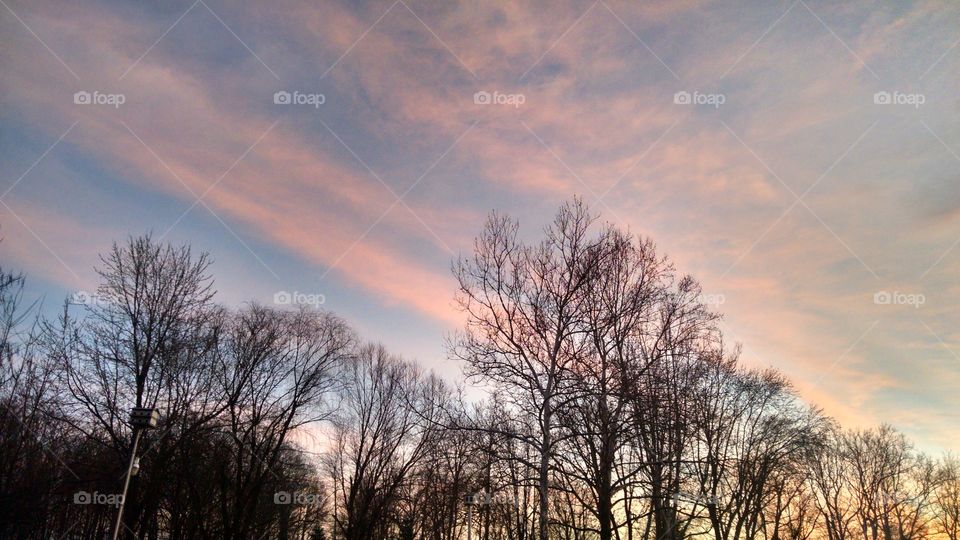 A beautiful sky with bare trees