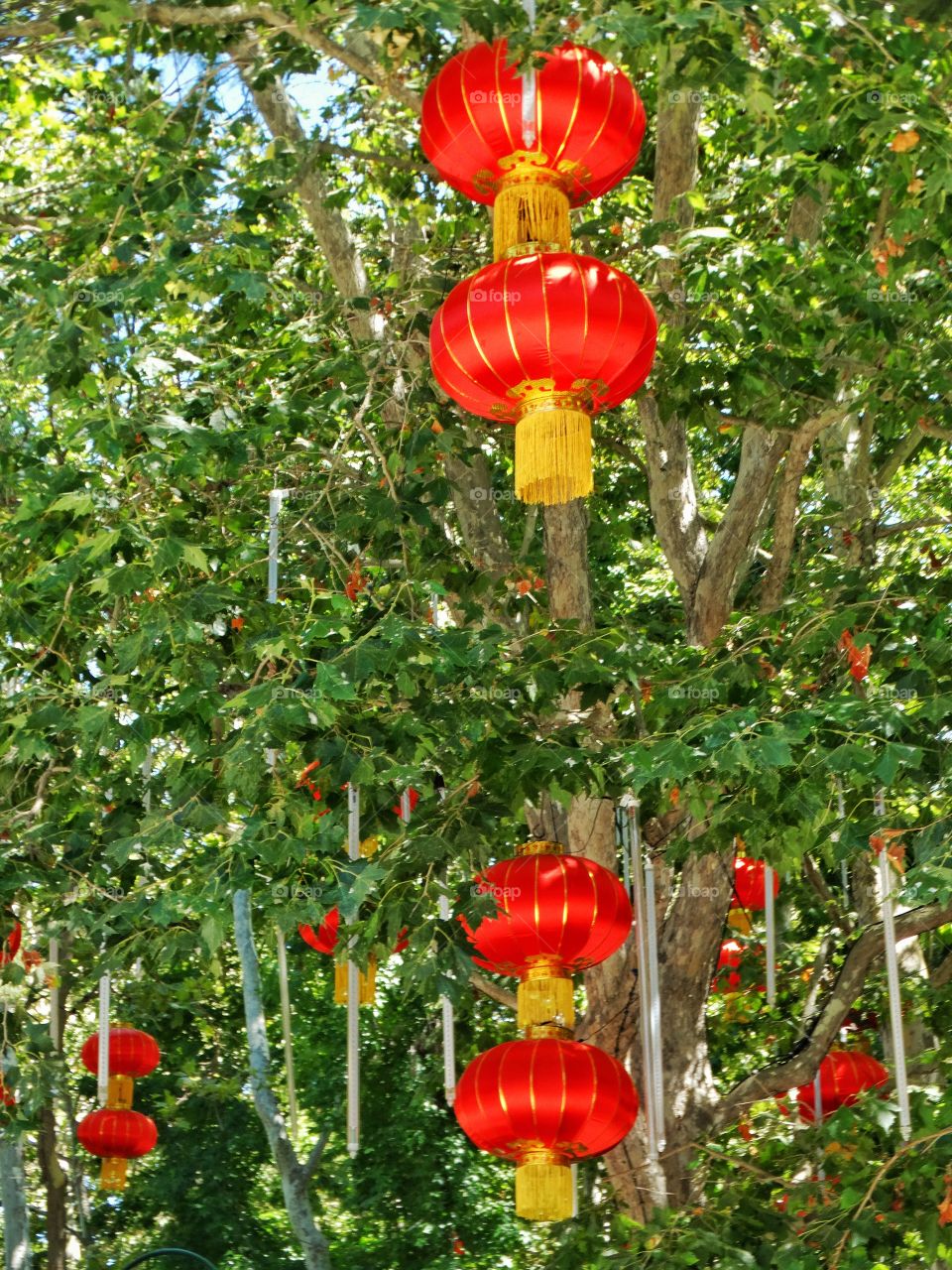 Red Chinese Lanterns