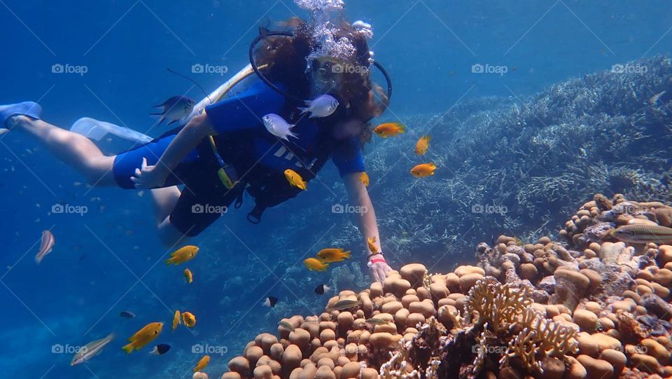 Diving in Hurghada, Egypt 2022.