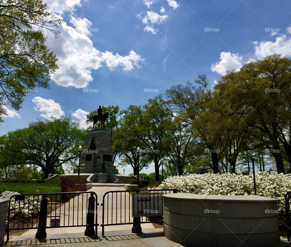 View of The Treasury Park/Garden of Washington D C