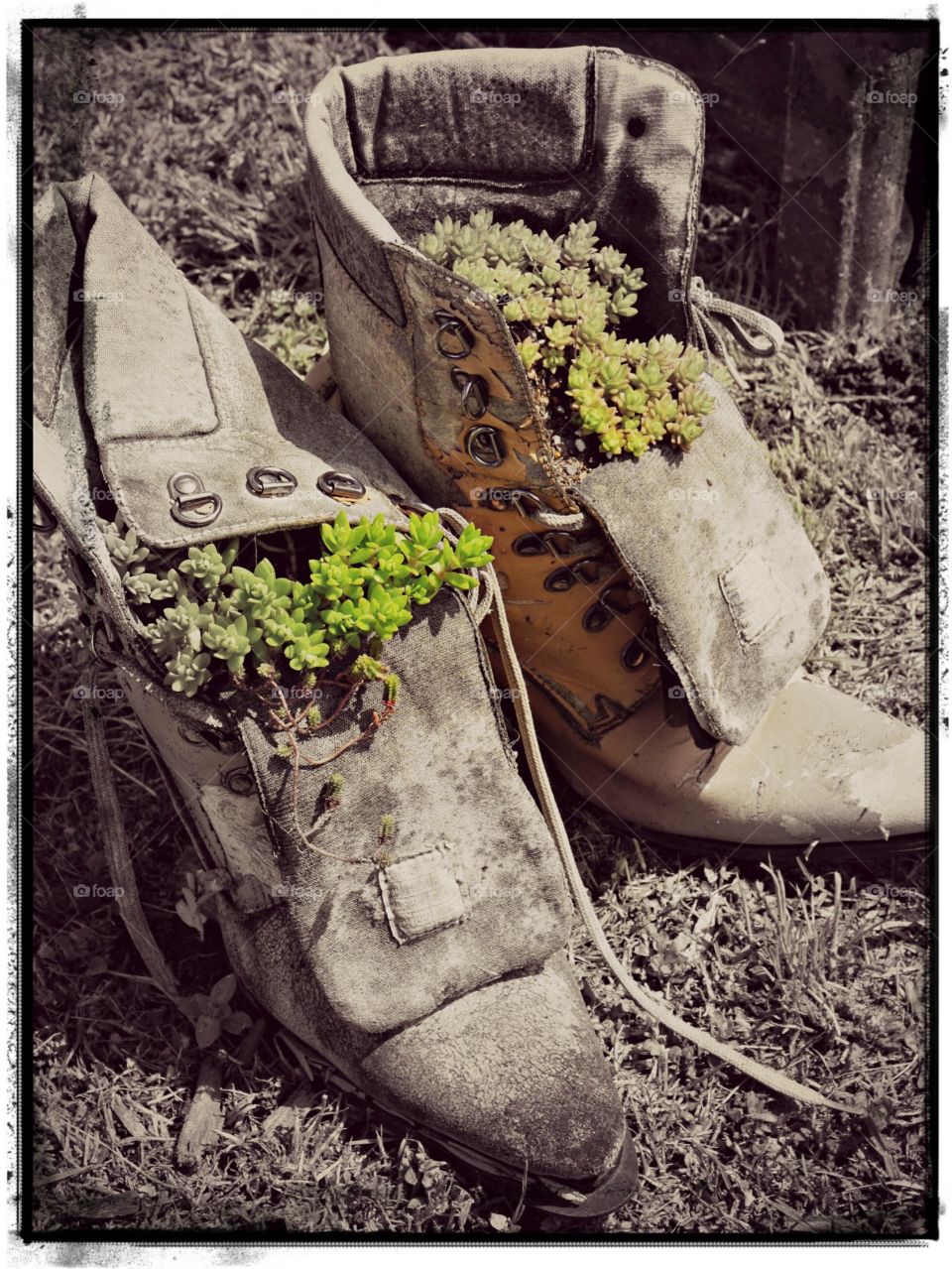 Boot Planters