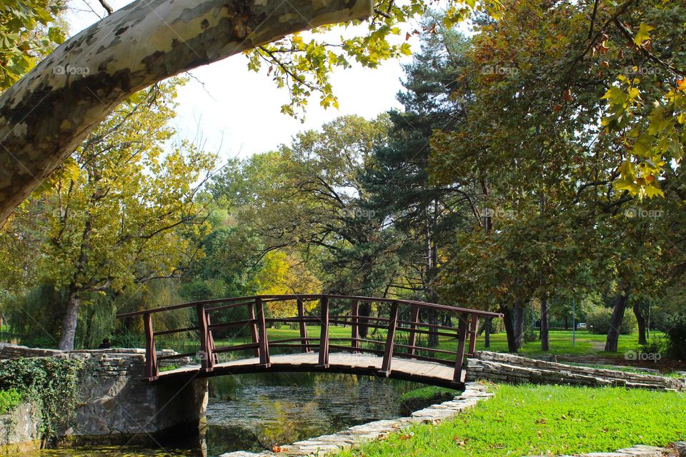 A view of a wooden bridge over stream in a public city park.  City landscape