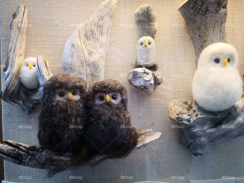 Owls.