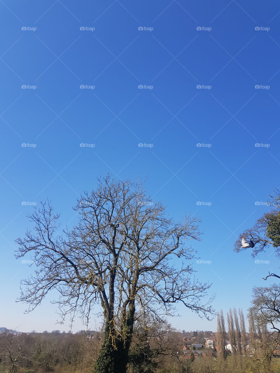 A nice and sunny day