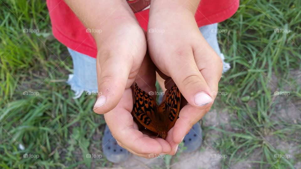 Holding butterfly