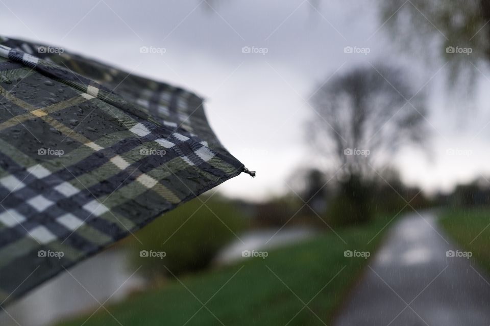 umbrella in the rain