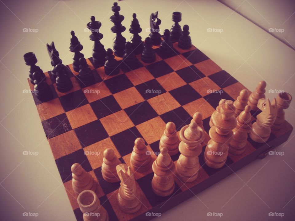 Chess. Chess family
