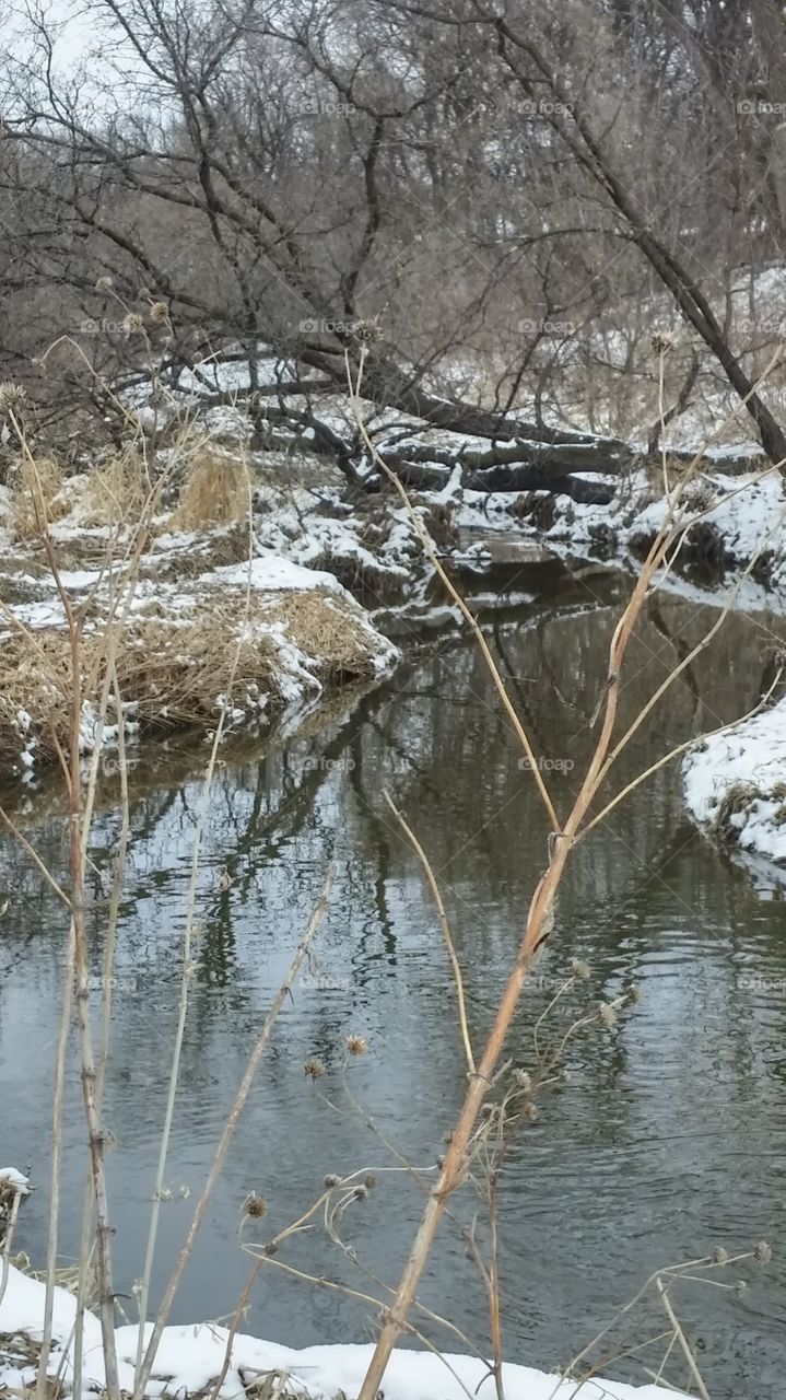 Bunns creek thaw