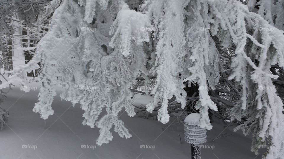 black and white . our climb was 1000 steps from the snow but it was just an uphill