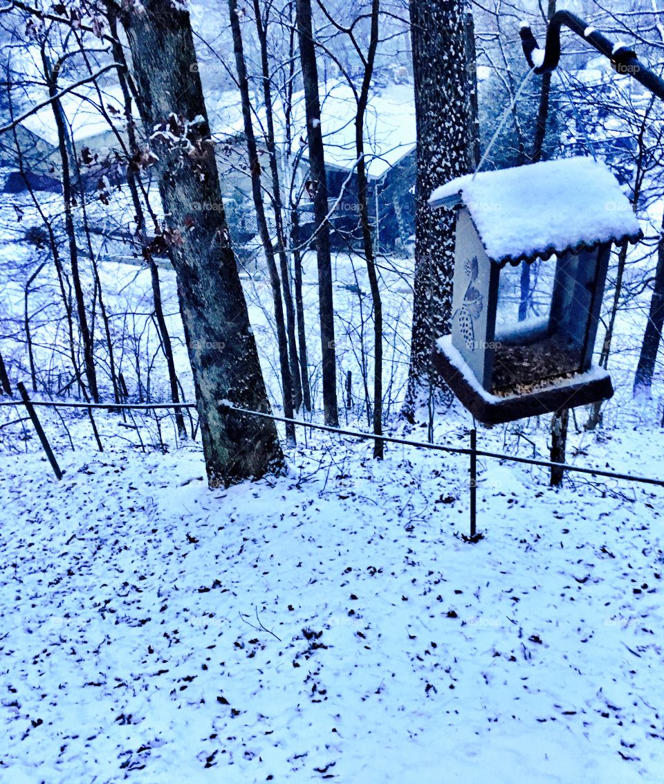Birdhouse in Snow