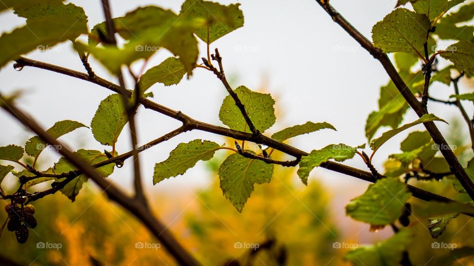 Осенняя красота природы