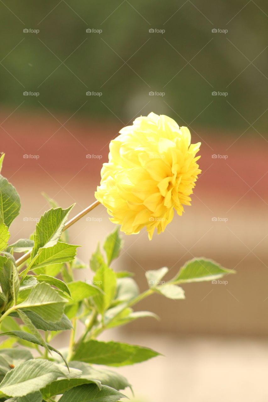 Having fun with nature