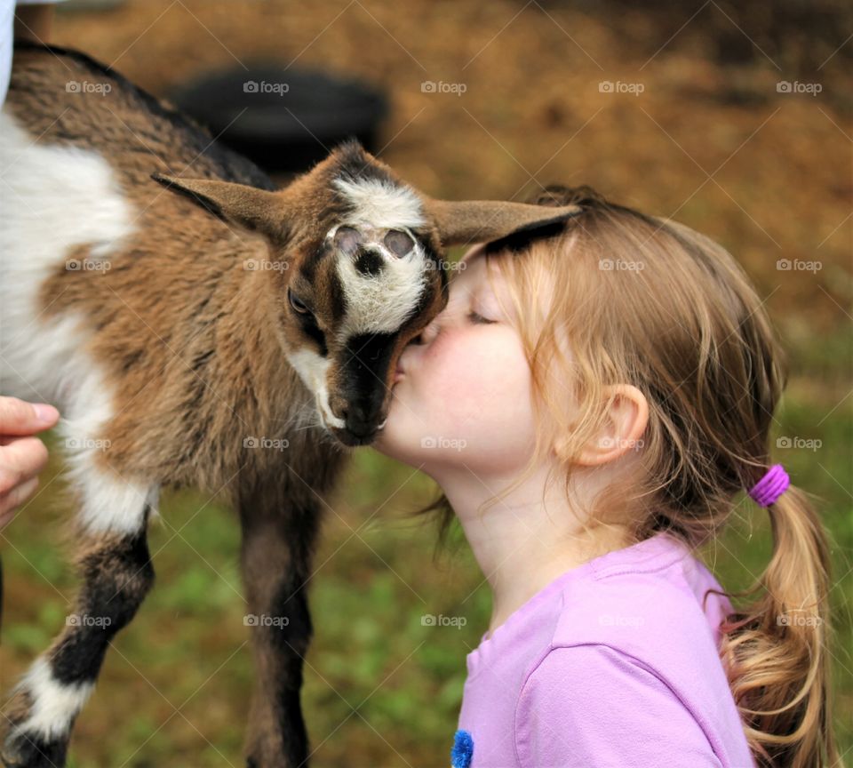 goat kisses