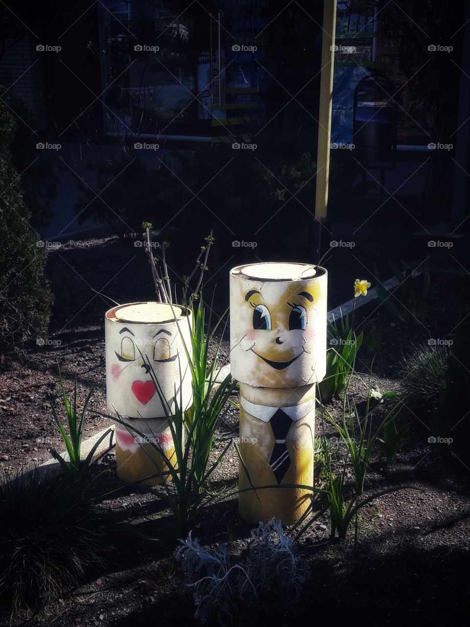 nature outdoor view spring summer