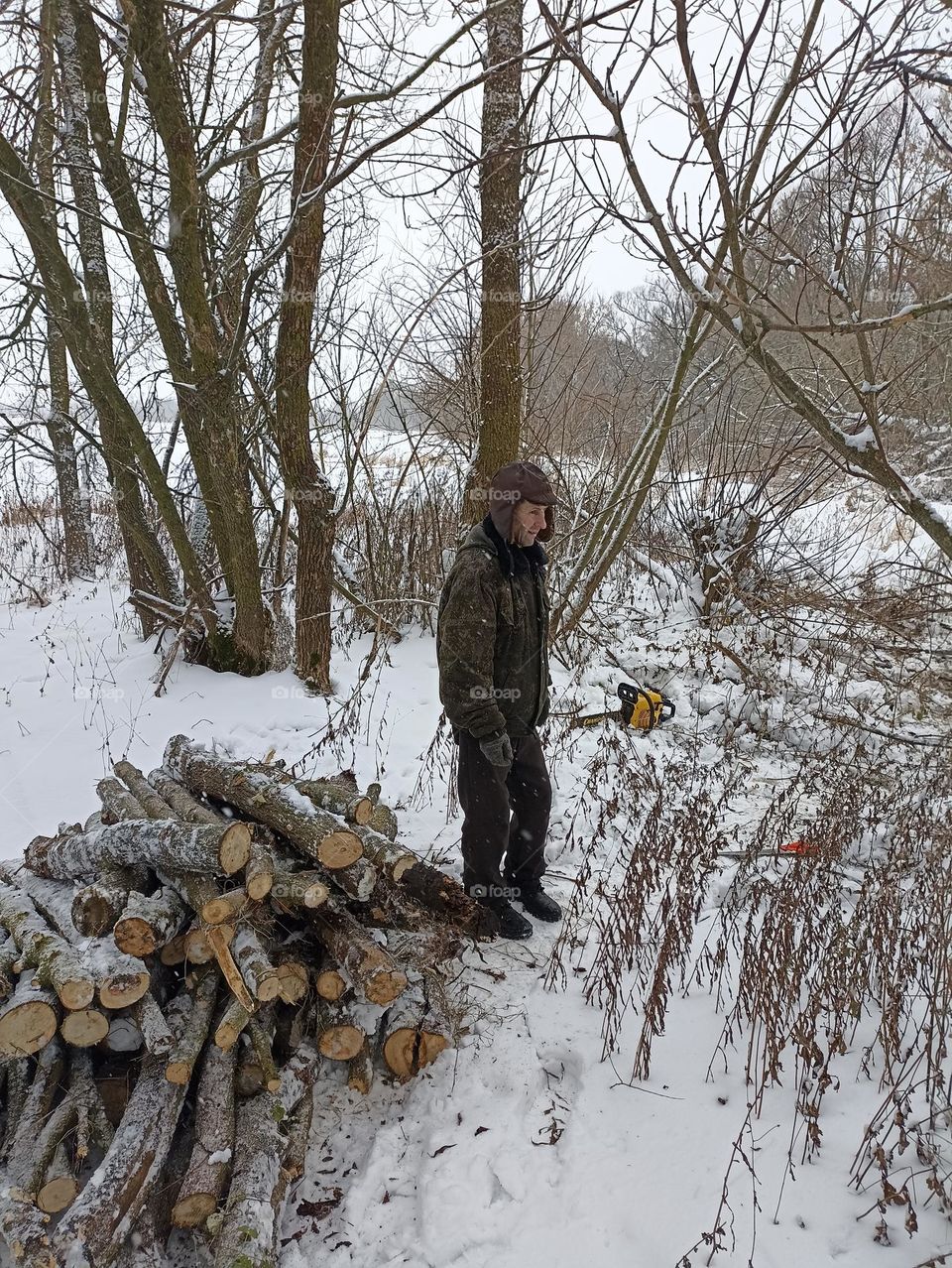 Harvesting of firewood