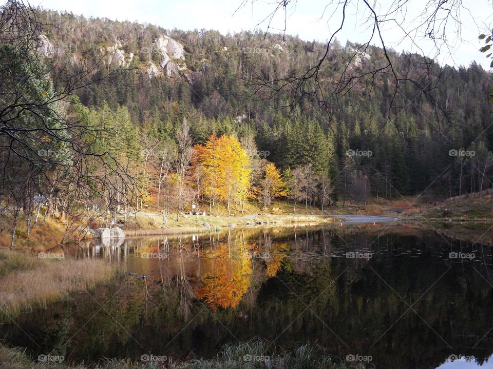 Mountain lake in Autumn 