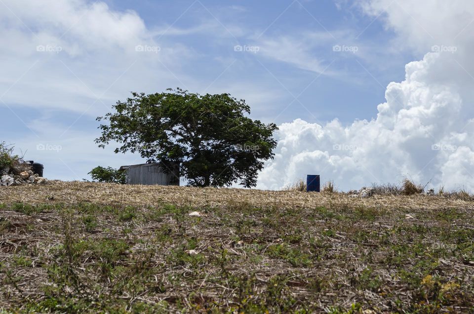 Farmland