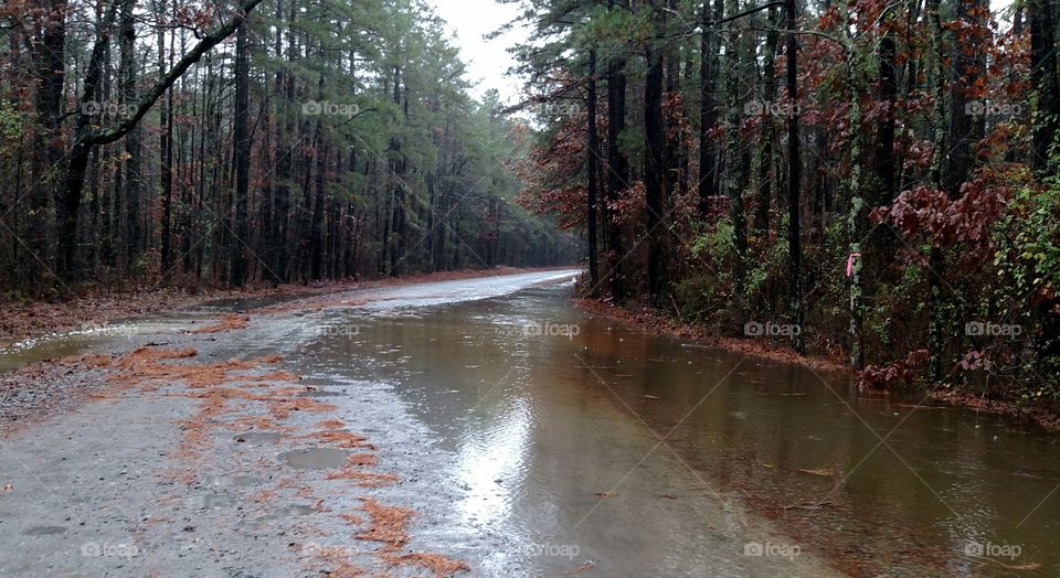 water covered road