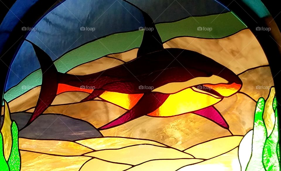 stained glass shark