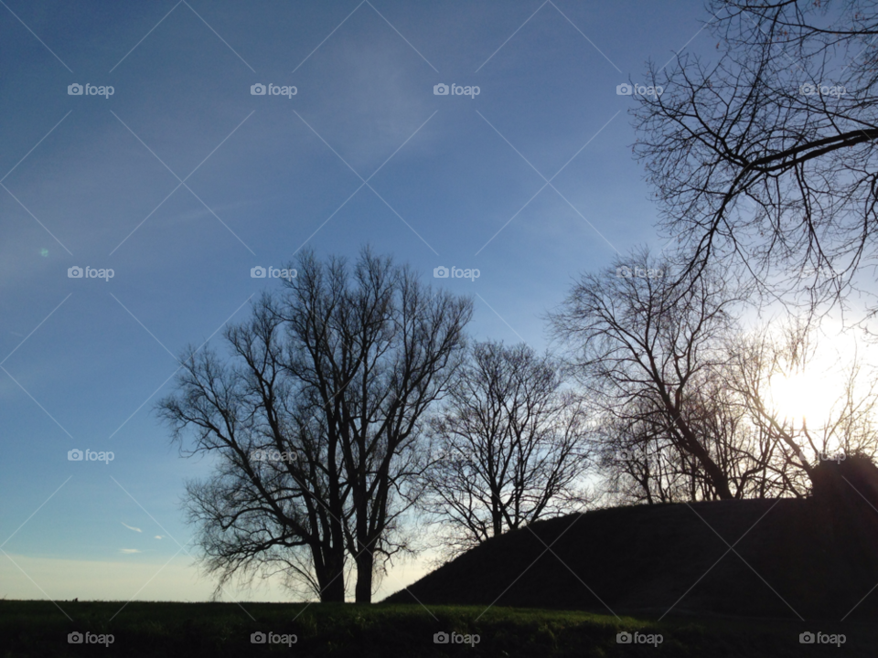 sky sun trees autumn by frido1969