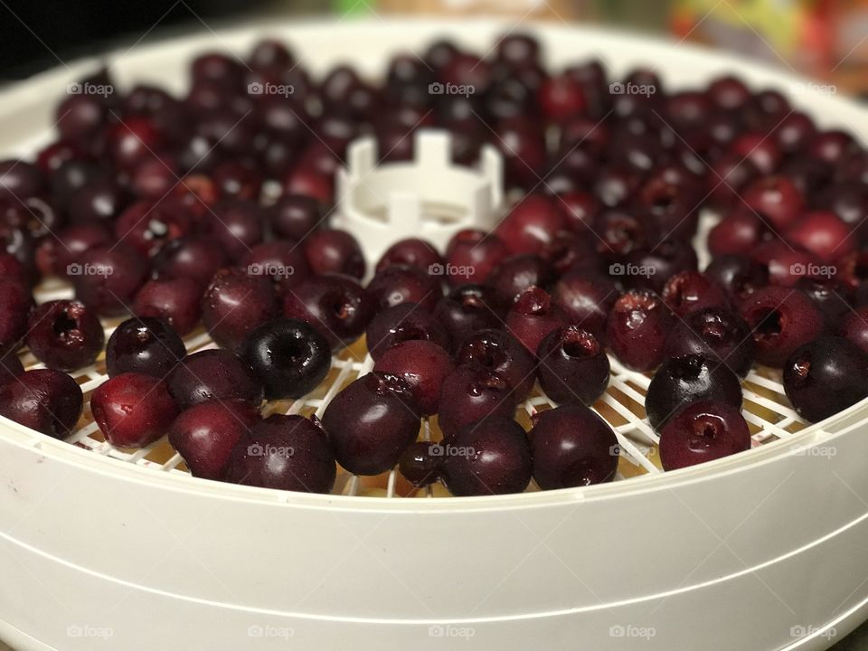 Dehydrated Bing Cherries