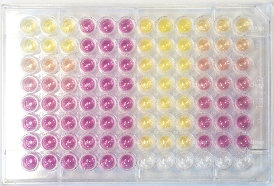 Vector, Image, Symbol, Post, Navigation