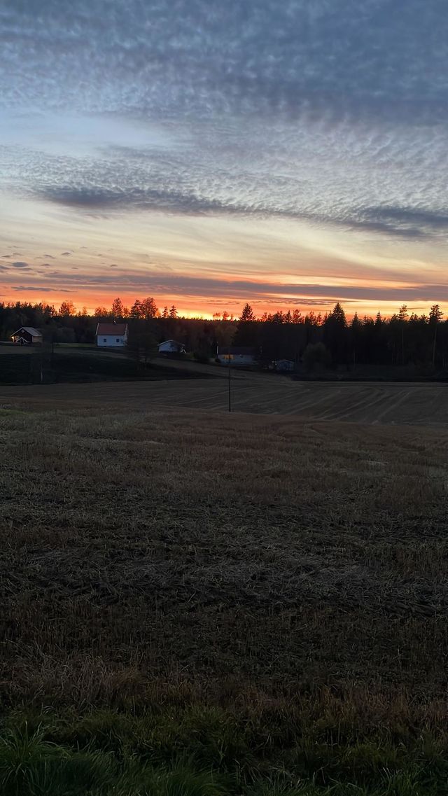 nature