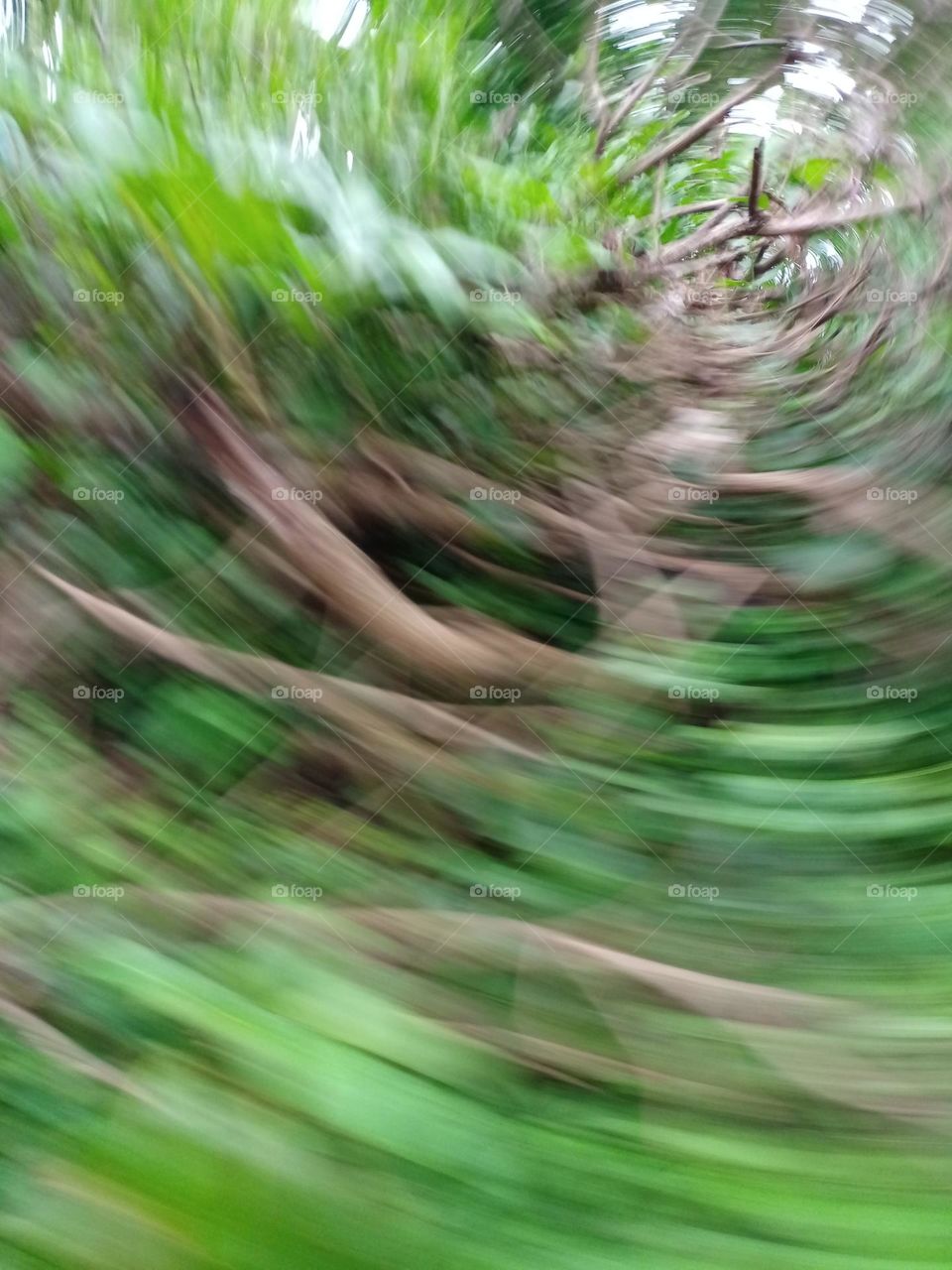 different types of camera art beautiful blur nature photography dizziness image