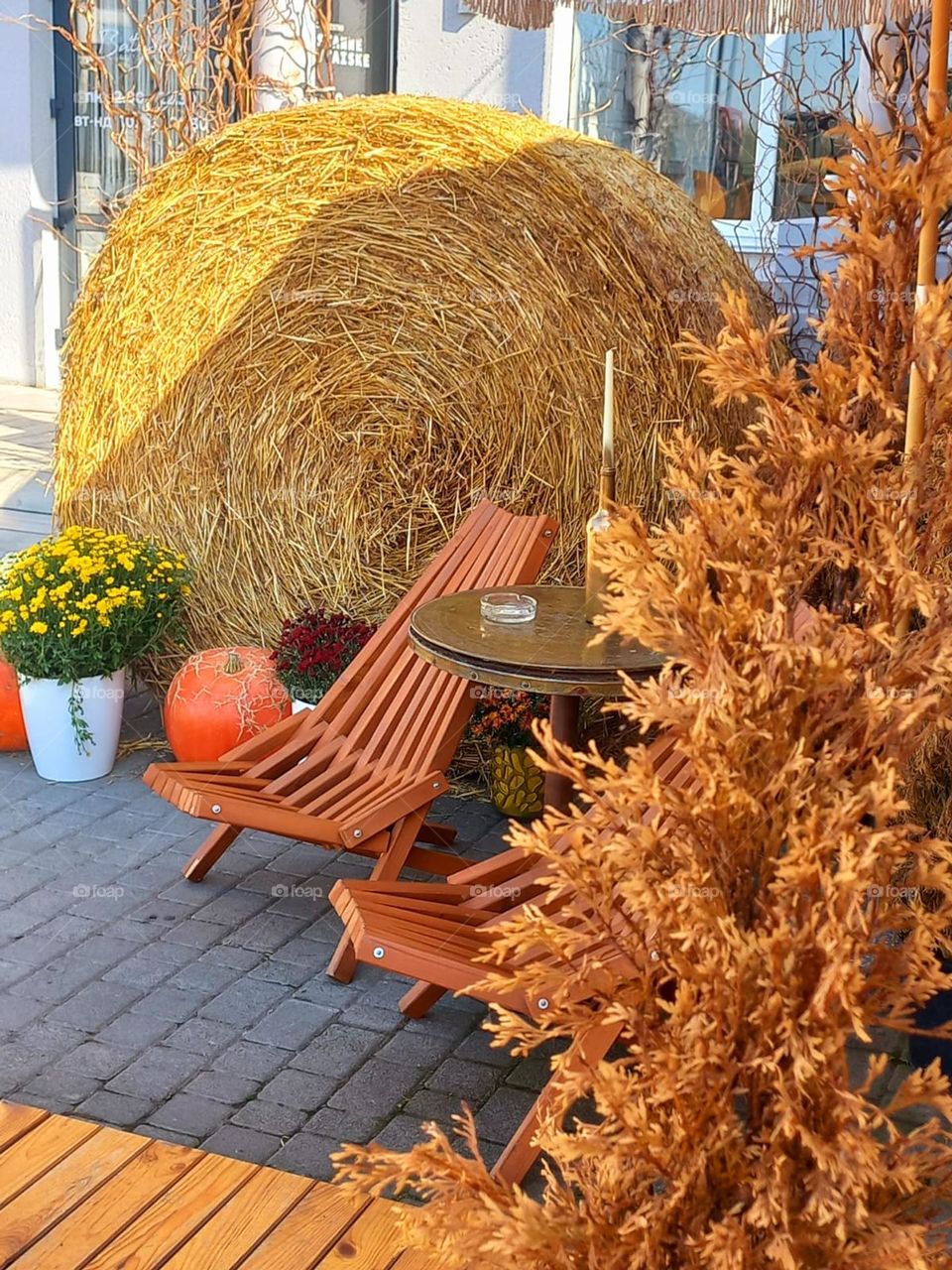 autumn colors in a romantic cafe