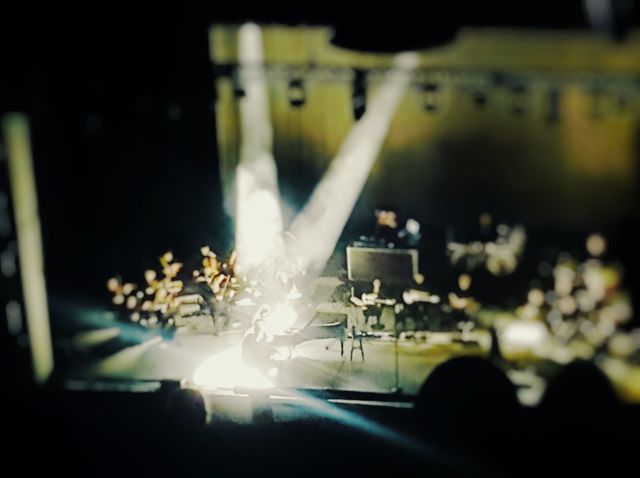 Amy Lee Live