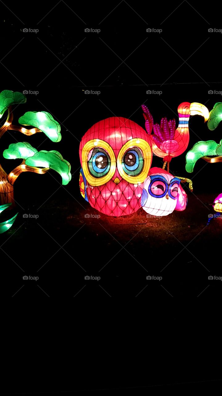 Chinese Lantern Festival, Philadelphia
