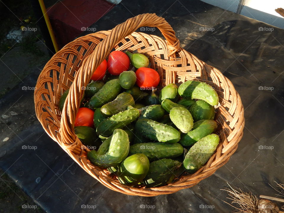 Cucumbers in the basket