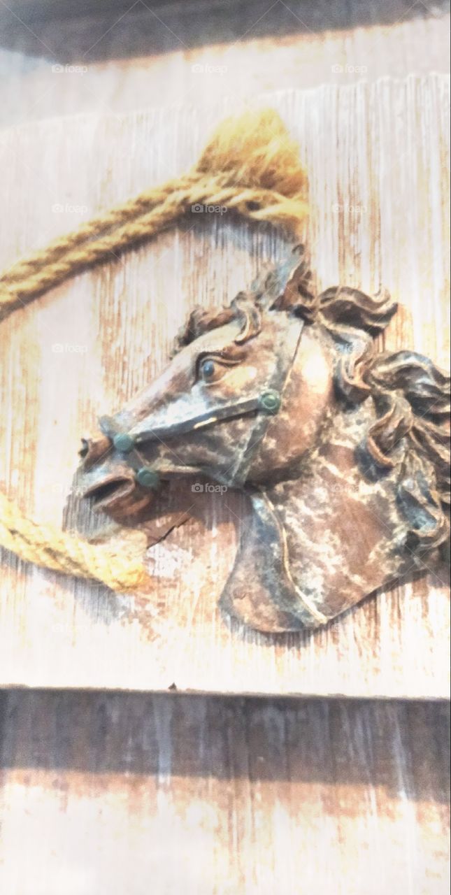 horse artwork