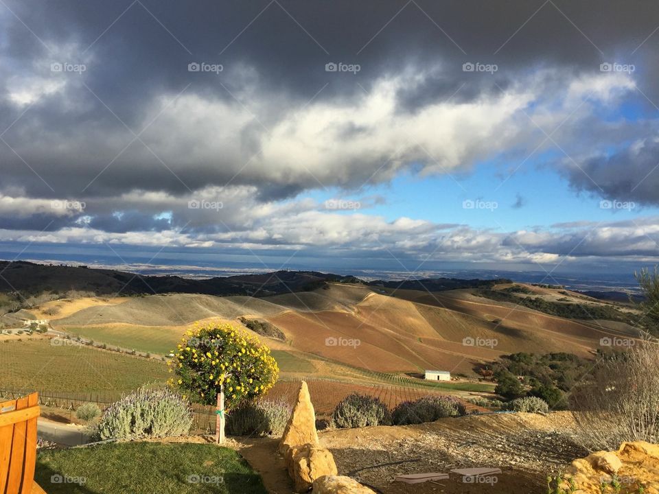 Beautiful view from Daou Winery