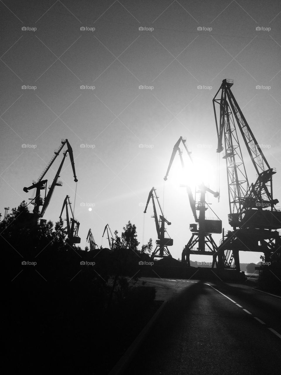 Early in the morning in Izmail sea commercial port. The cargo terminal with cargo cranes. Industrial landscape. 