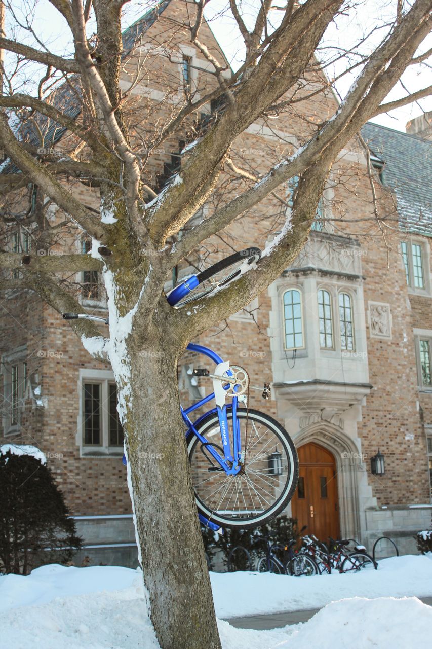 Dormer's Bike Stand