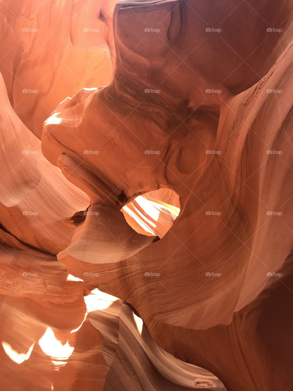 Smooth Structures of Nature 