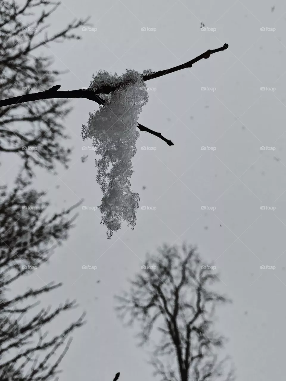 Snow