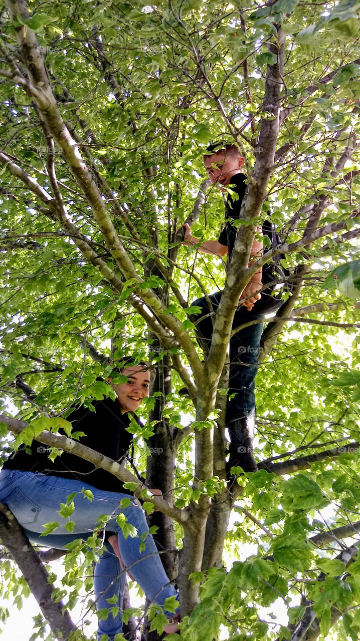 Tree Climbing