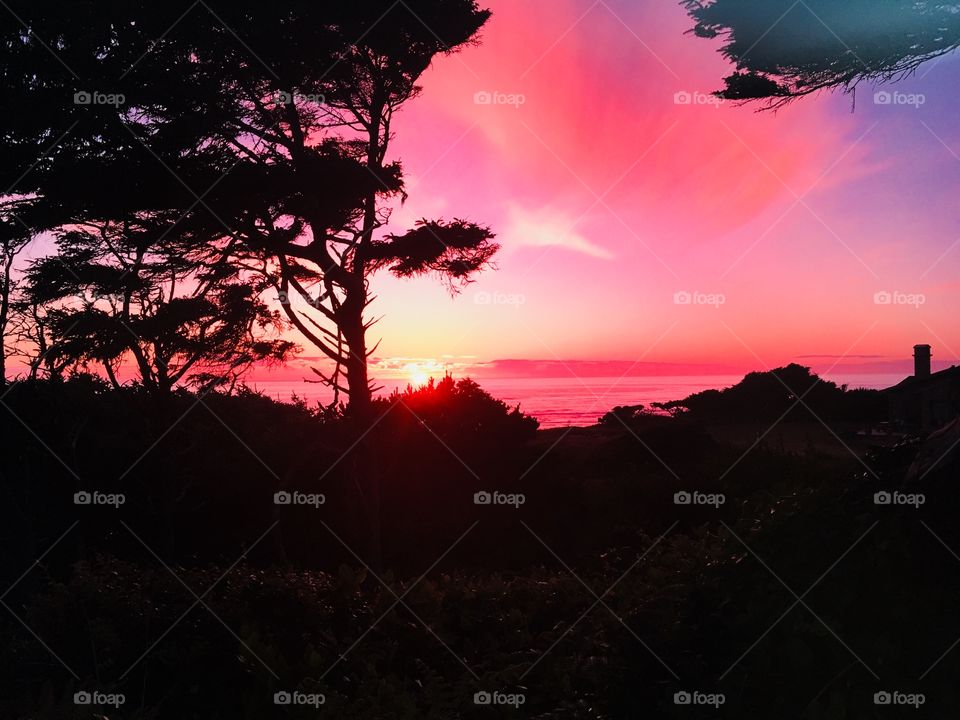 Pink sky ocean sunset 