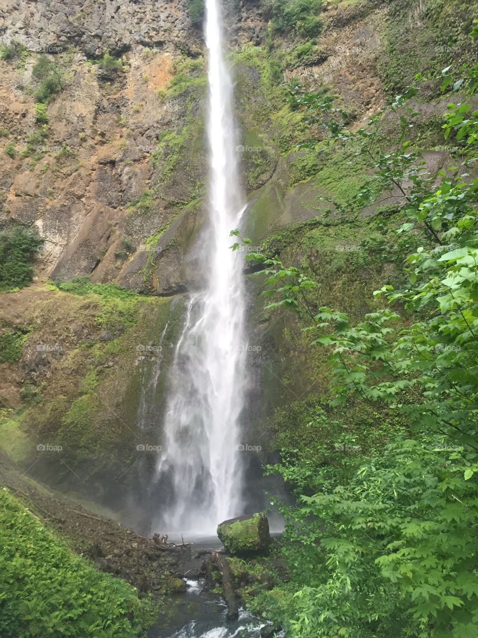 Multnomah Falls