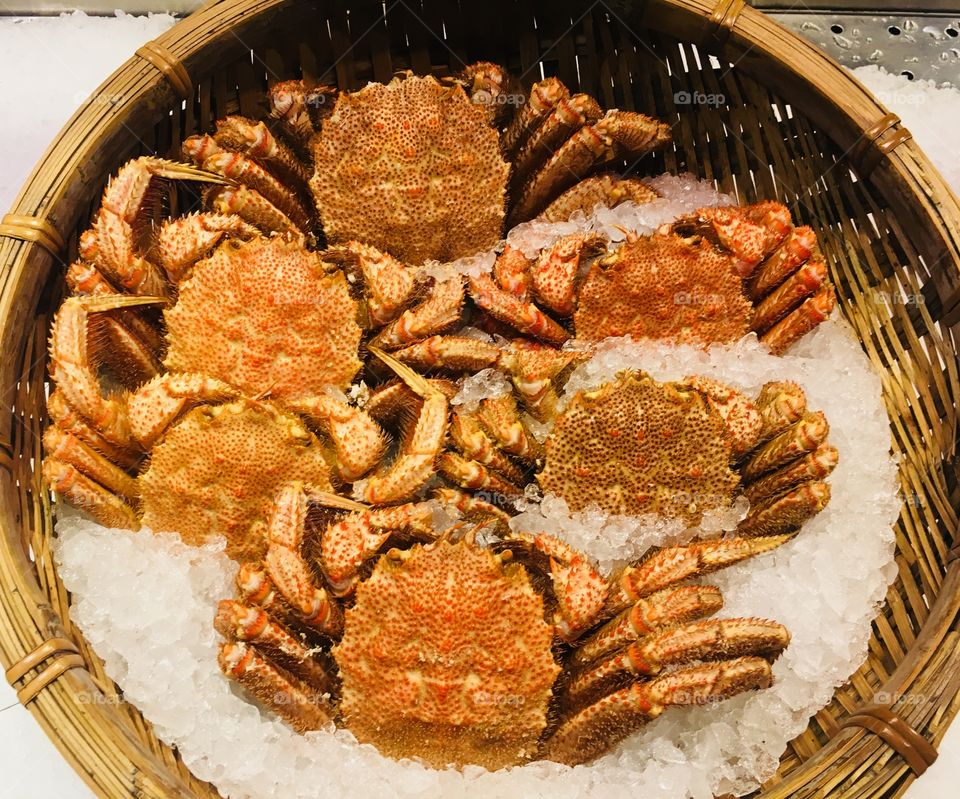 Taraba crab fresh fish market in ice bucket japan