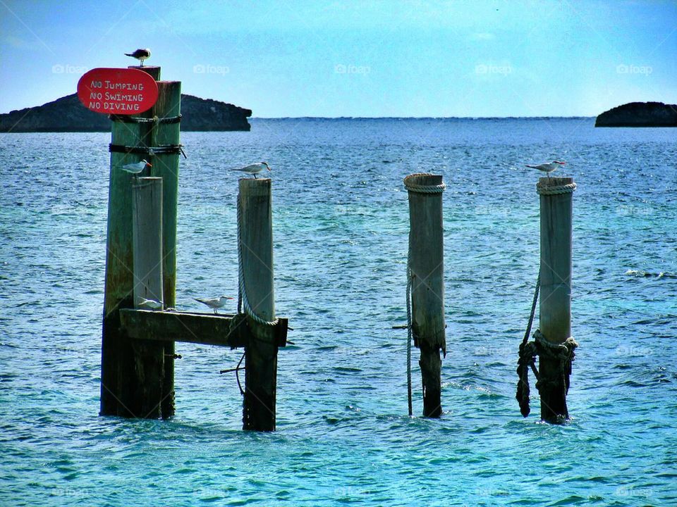 Bahamas View
